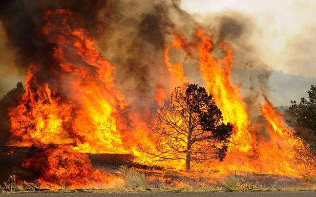 Fire in Bihar